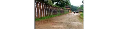 81. திருக்கடித்தானம்